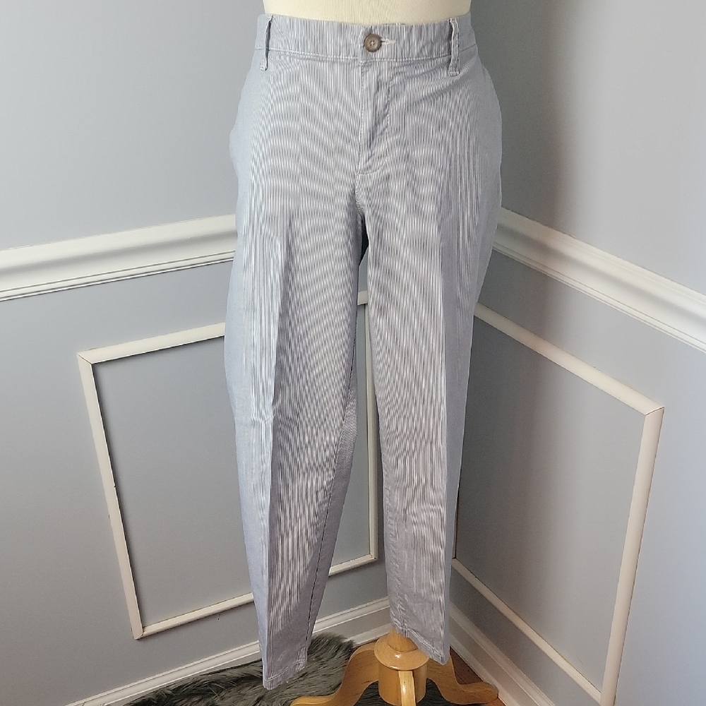 GAP Blue White Pinstripe Skinny Boyfriend‎ Flat Front Cropped Ankle Khaki Pants